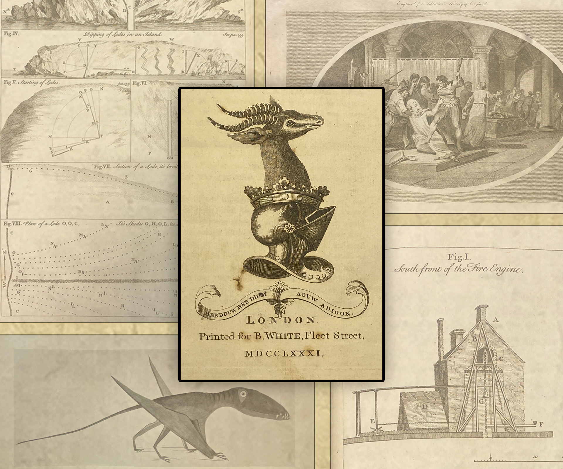 E-Catalogue 03: The Lockley Collection