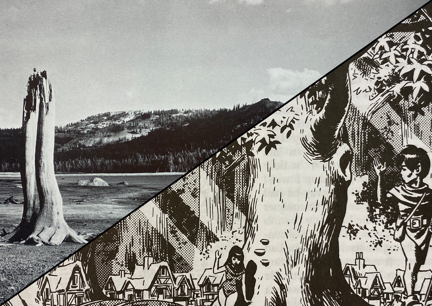 Catalyst 01 (August 2024): Modern Photography and Illustration