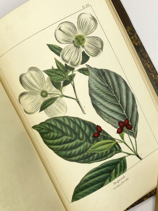 The North American Sylva; or, a Description of the Forest Trees of the United States, Canada, and Nova Scotia...[Three vols.], [with] The North American Sylva...Not Described in the Work of F. Andrew Michaux...[Two vols.].
