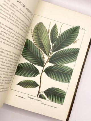 The North American Sylva; or, a Description of the Forest Trees of the United States, Canada, and Nova Scotia...[Three vols.], [with] The North American Sylva...Not Described in the Work of F. Andrew Michaux...[Two vols.].