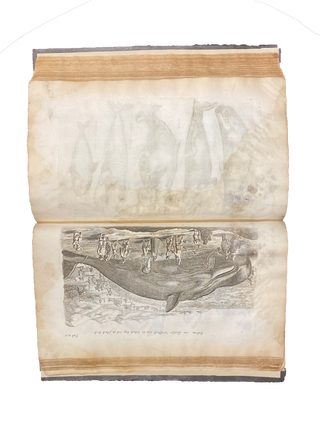 Historiae Naturalis de Quadrupedibus; Historiae Naturalis de Piscibus et Cetis; Historiae Naturalis de Exanguibus Aquaticis (all bound in one)