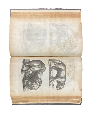 Historiae Naturalis de Quadrupedibus; Historiae Naturalis de Piscibus et Cetis; Historiae Naturalis de Exanguibus Aquaticis (all bound in one)