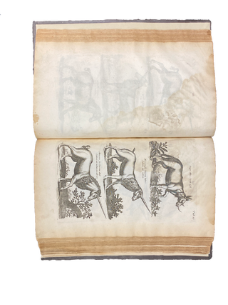Historiae Naturalis de Quadrupedibus; Historiae Naturalis de Piscibus et Cetis; Historiae Naturalis de Exanguibus Aquaticis (all bound in one)