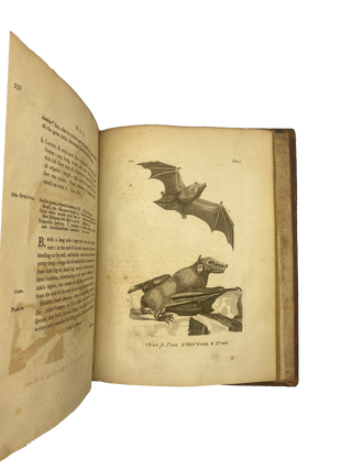 History of Quadrupeds [TWO VOLUMES]