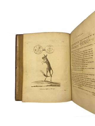History of Quadrupeds [TWO VOLUMES]