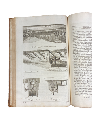 The Natural History of Cornwall
