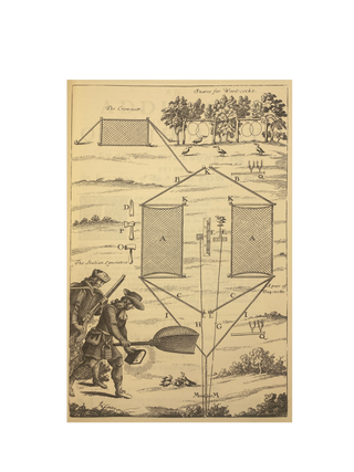 The Ornithology of Francis Willughby of Middleton