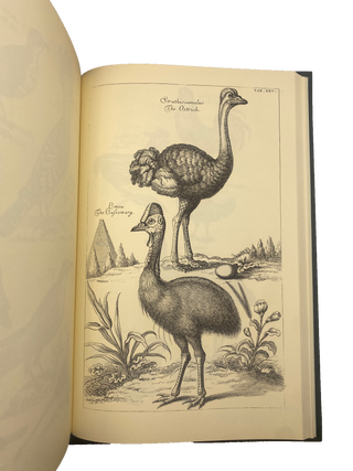 The Ornithology of Francis Willughby of Middleton