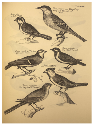 The Ornithology of Francis Willughby of Middleton