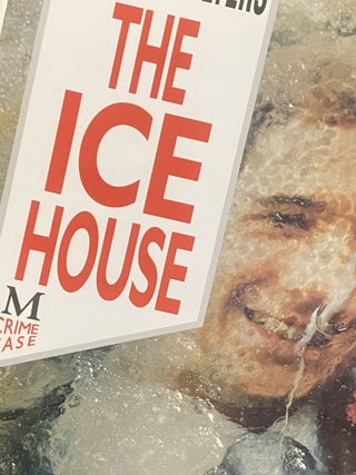 The Ice House. Minette Walters.