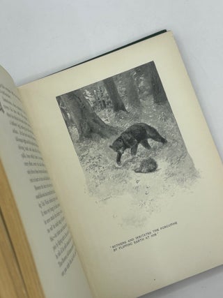 School of the Woods